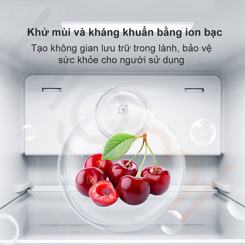 Tu lanh Xiaomi Mijia 610L BCD 610WMSA 6