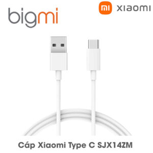 Cap Type C Xiaomi SJX14ZM