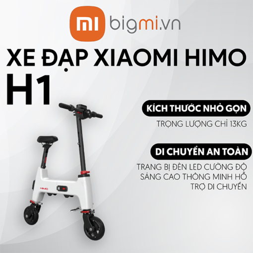H1