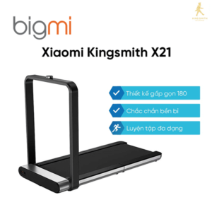 Kingsmith X21