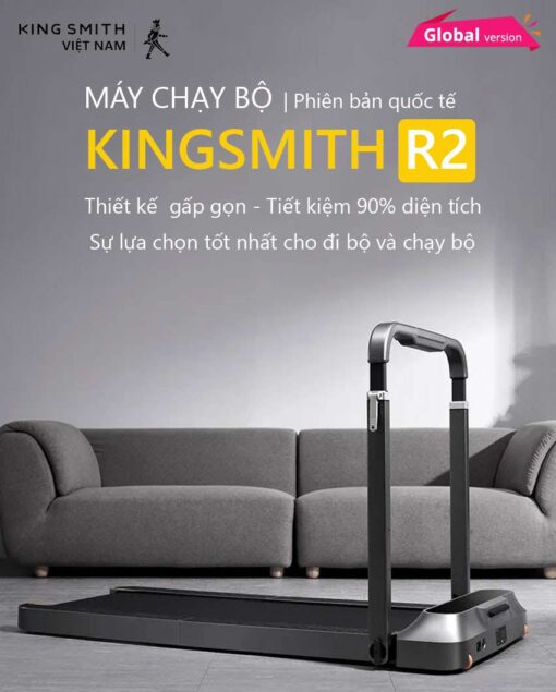 kingmsithvietnam may chay bo kingmsith r2 01