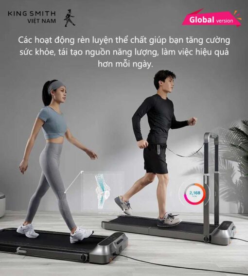 kingmsithvietnam may chay bo kingmsith r2 04
