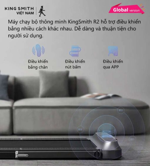 kingmsithvietnam may chay bo kingmsith r2 07