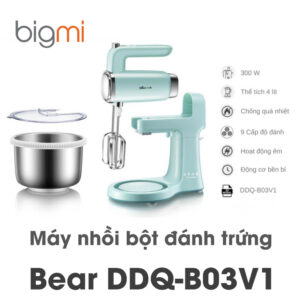 Bear DDQ B03V1