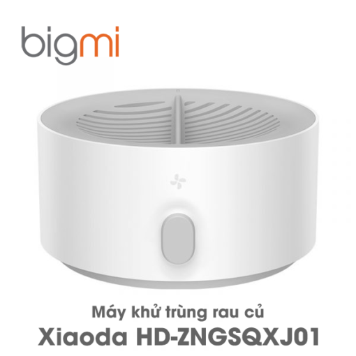 Máy rửa khử trùng rau củ quả Xiaoda HD-ZNGSQXJ01