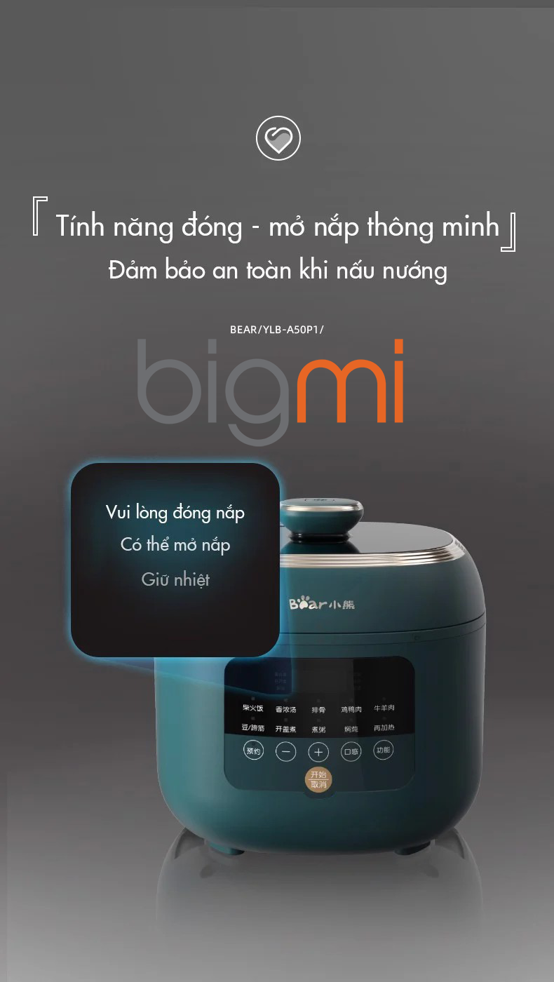 Noi ap suat Bear YLB A50P1 5L da nang 14