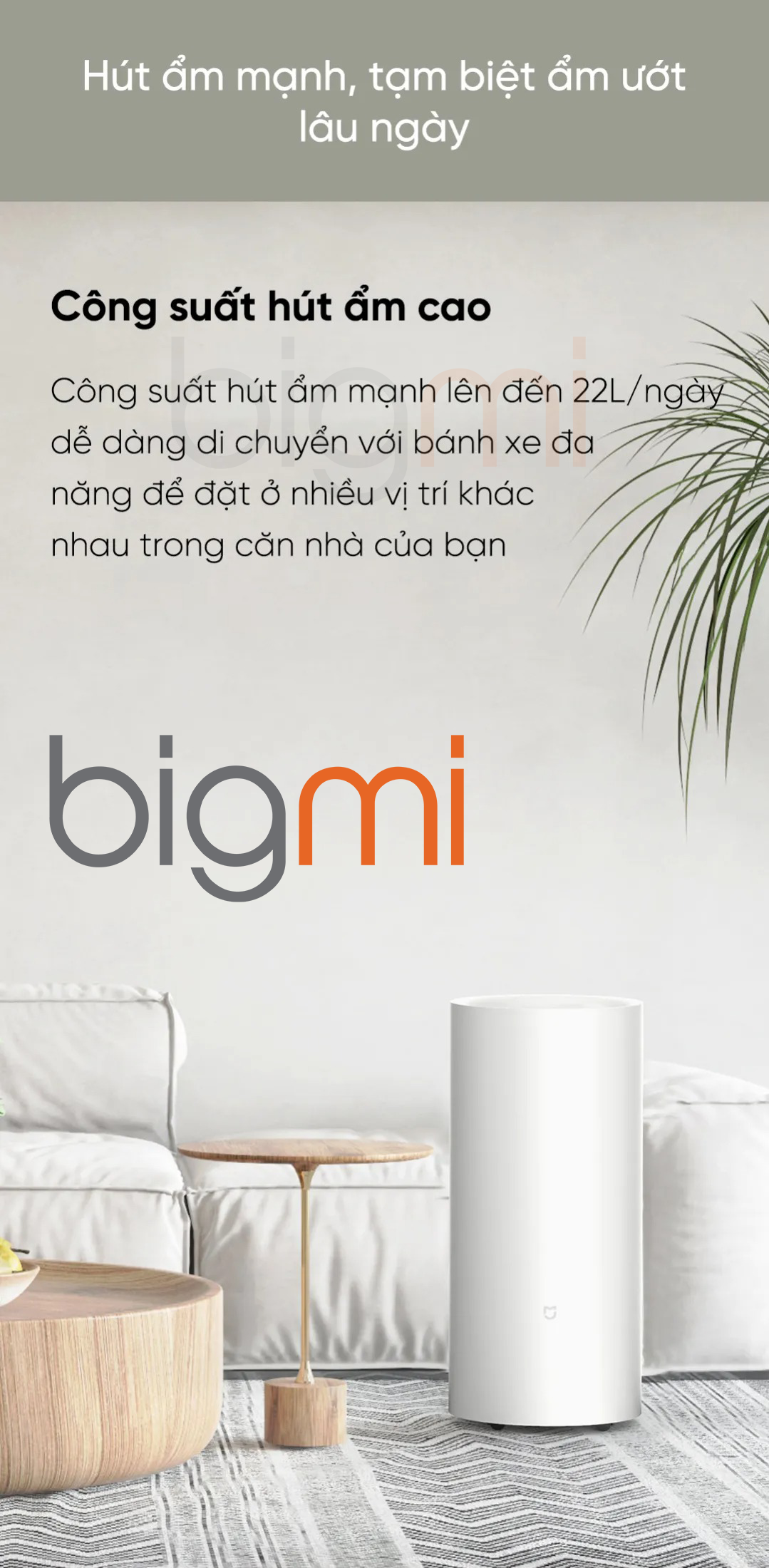 May hut am Xiaomi Mijia 22L CSJ0122DM 3