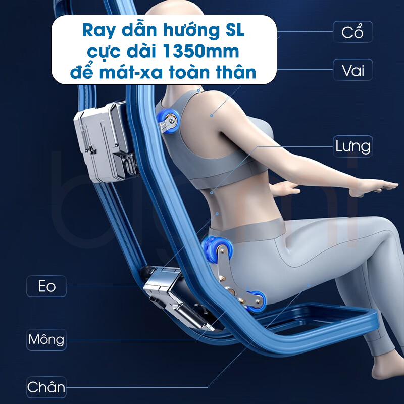 Momoda 4D M880 trang bi ray dan duong 135cm