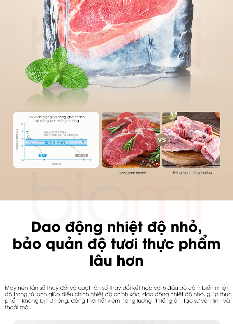 Tu lanh Xiaomi Mijia 439L BCD 439WMBI 24