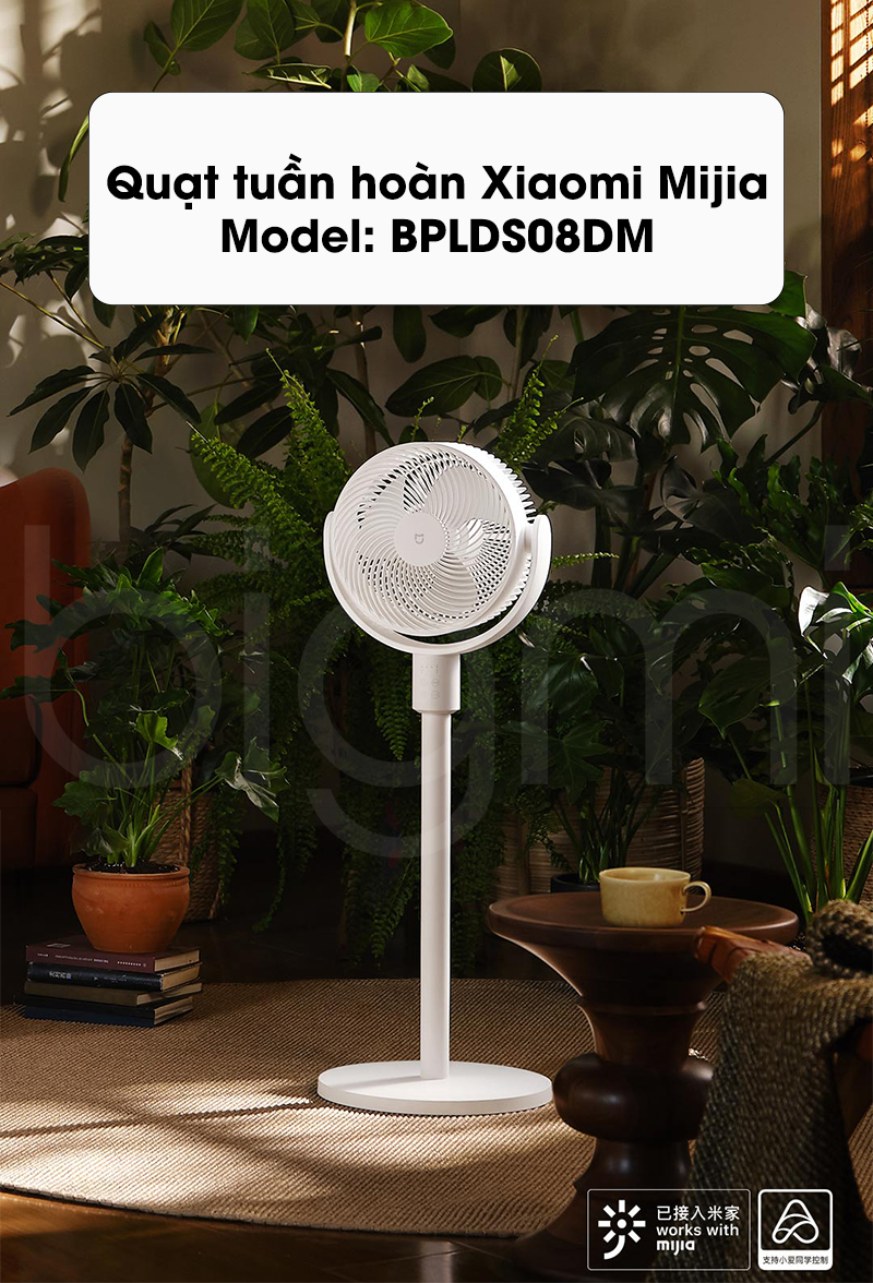 Quat doi luu Xiaomi Mijia BPLDS08DM ngoai hinh