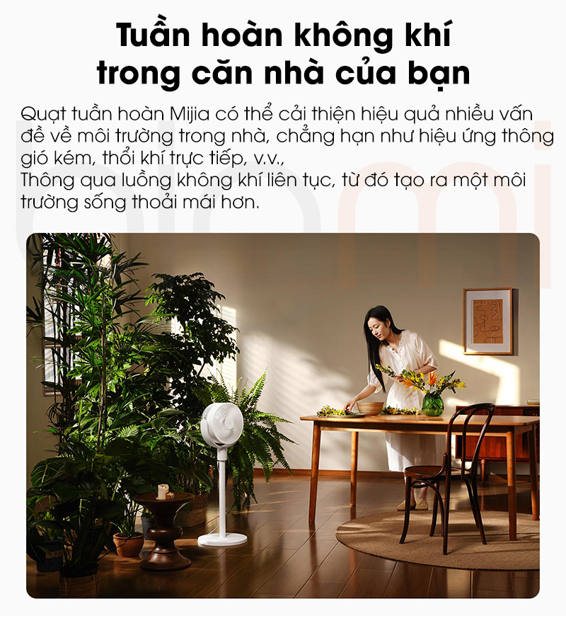 Quat doi luu Xiaomi Mijia BPLDS08DM tuan hoan khong khi
