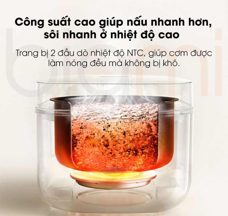 Noi com dien Xiaomi Mijia N1 3L MFB13A0 cong suat 650W