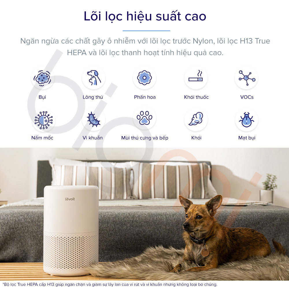 Máy lọc không khí Levoit Core 200S (6)