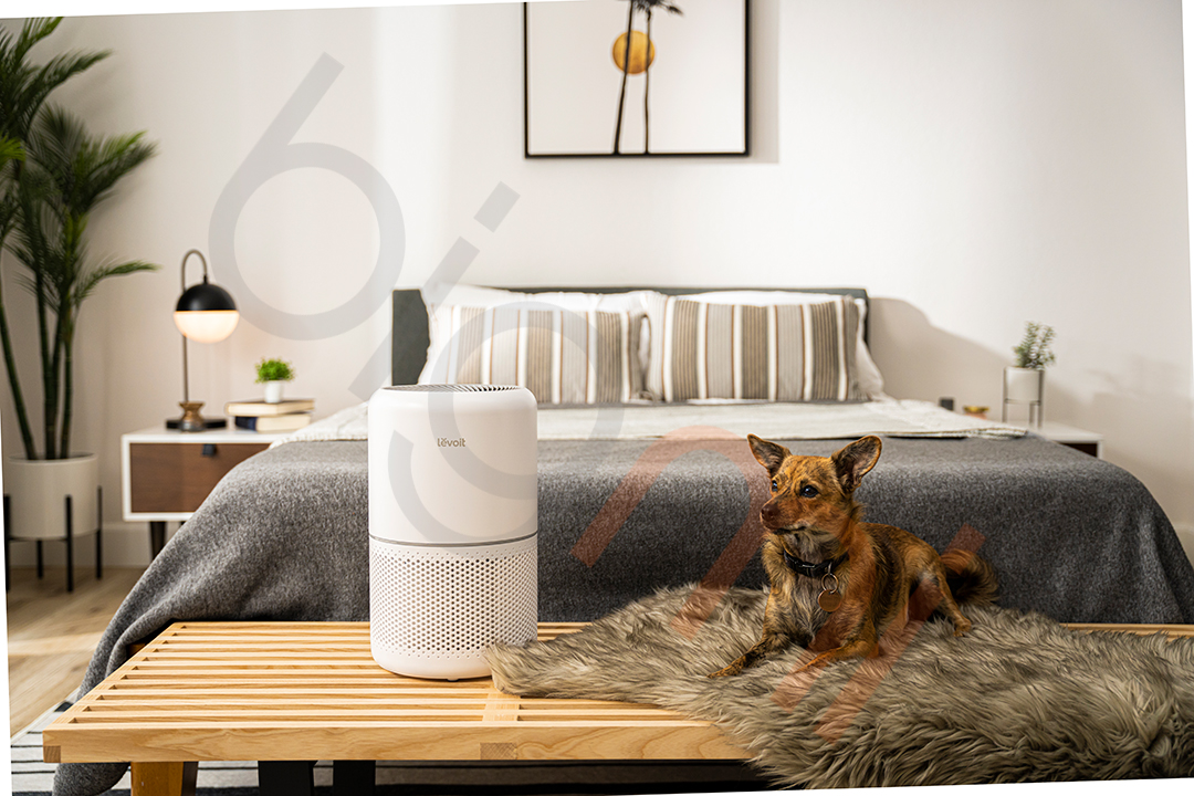Máy lọc không khí Levoit Core 300S (3)