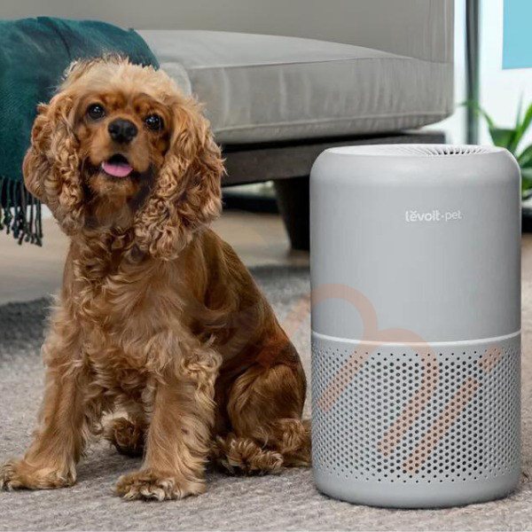 Máy lọc không khí Levoit Core P350 (1)