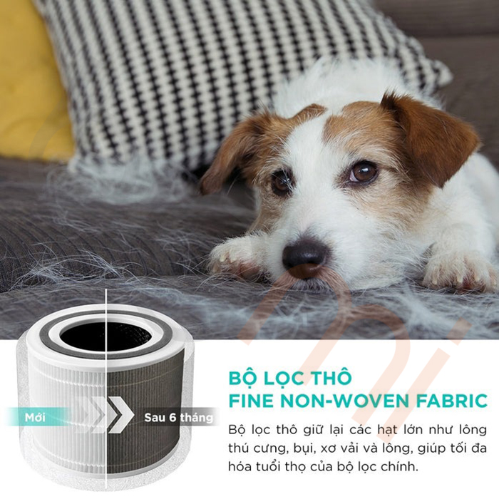 Máy lọc không khí Levoit Core P350 (3)