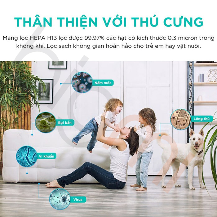 Máy lọc không khí Levoit Core P350 (8)