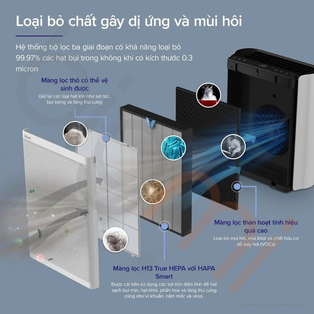 Máy lọc không khí Levoit Everest Air (1)