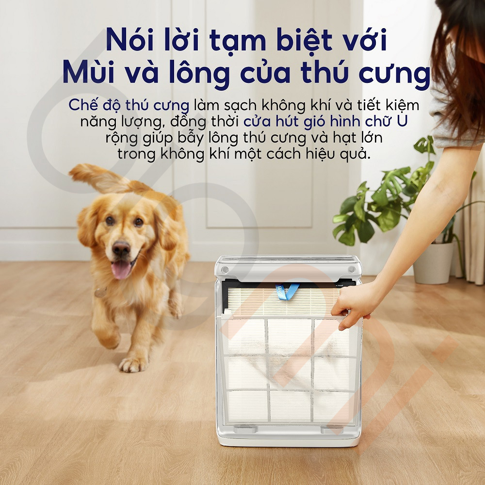 Máy lọc không khí Levoit Vital 100S (3)