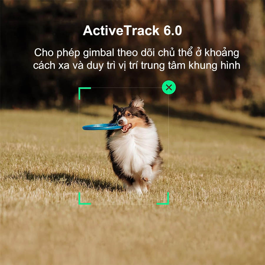 Bigmivn Gimbal điện thoại DJI Osmo Mobile SE (4)