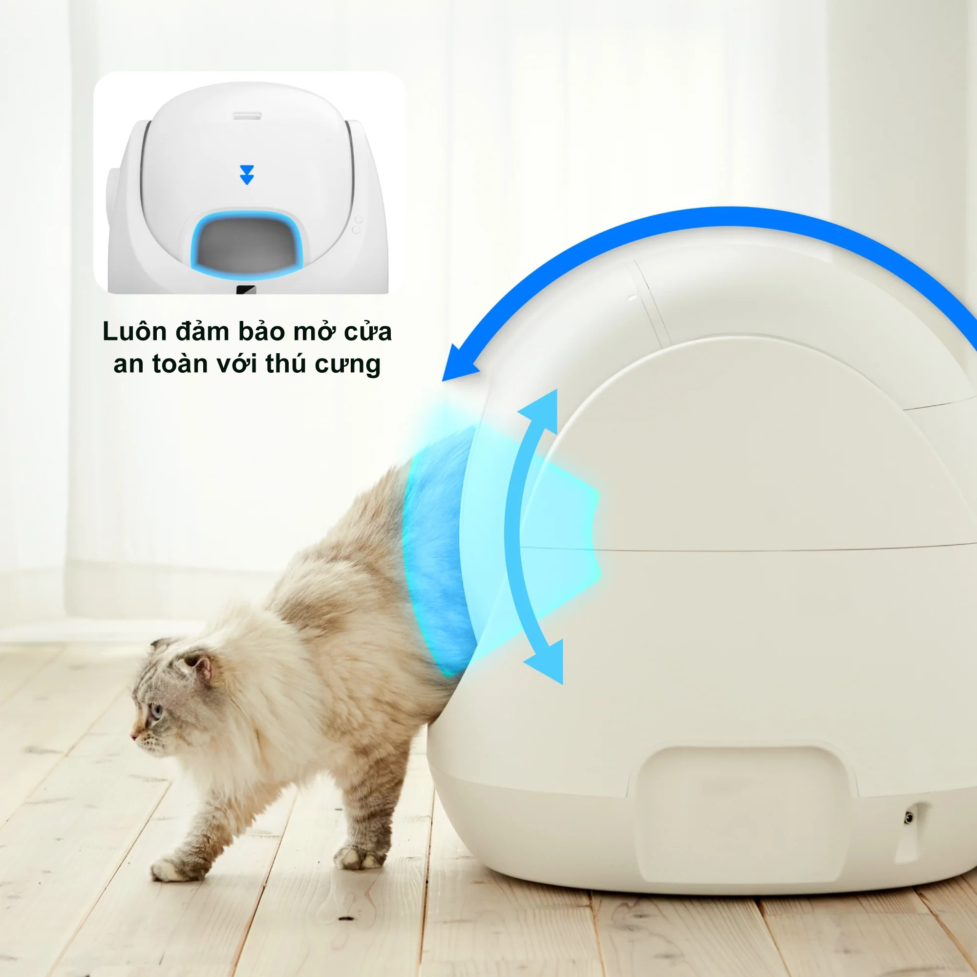 Hop ve sinh cho meo CATLINK Scooper SE bigmivn 10