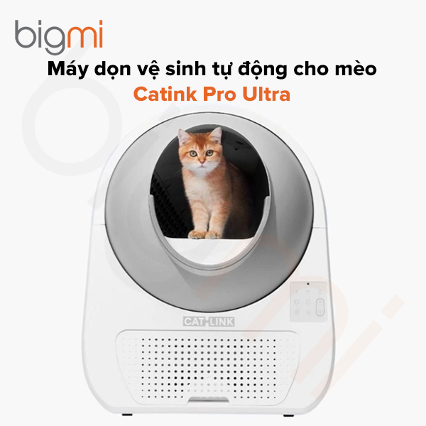 Máy dọn vệ sinh tự động Catink Pro Ultra
