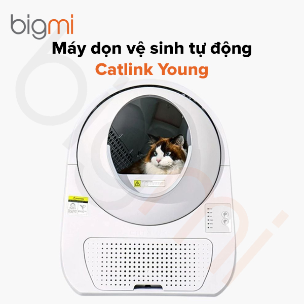 Máy dọn vệ sinh tự động Catlink Young