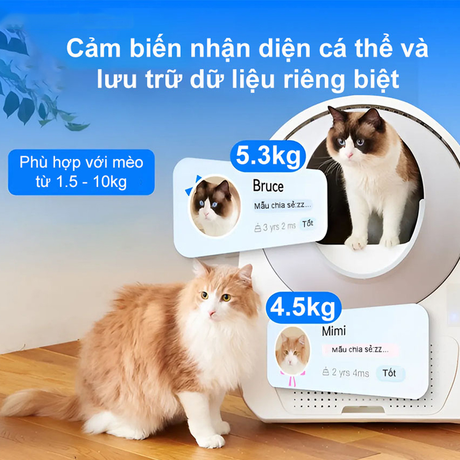 May ve sinh cho meo tu dong Catlink Pro X Luxury chinh hang tai bigmivn 4