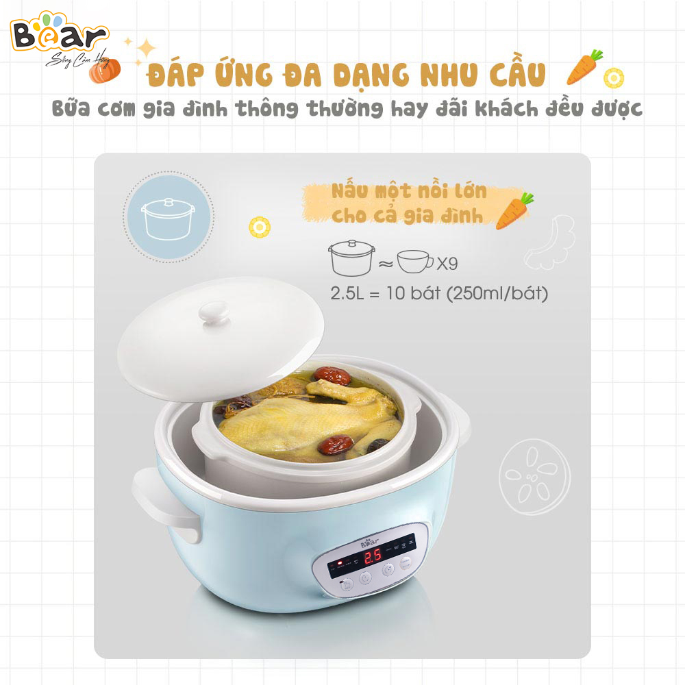 Noi nau cham Bear 2.5L SUBE003 270W bigmivn 10