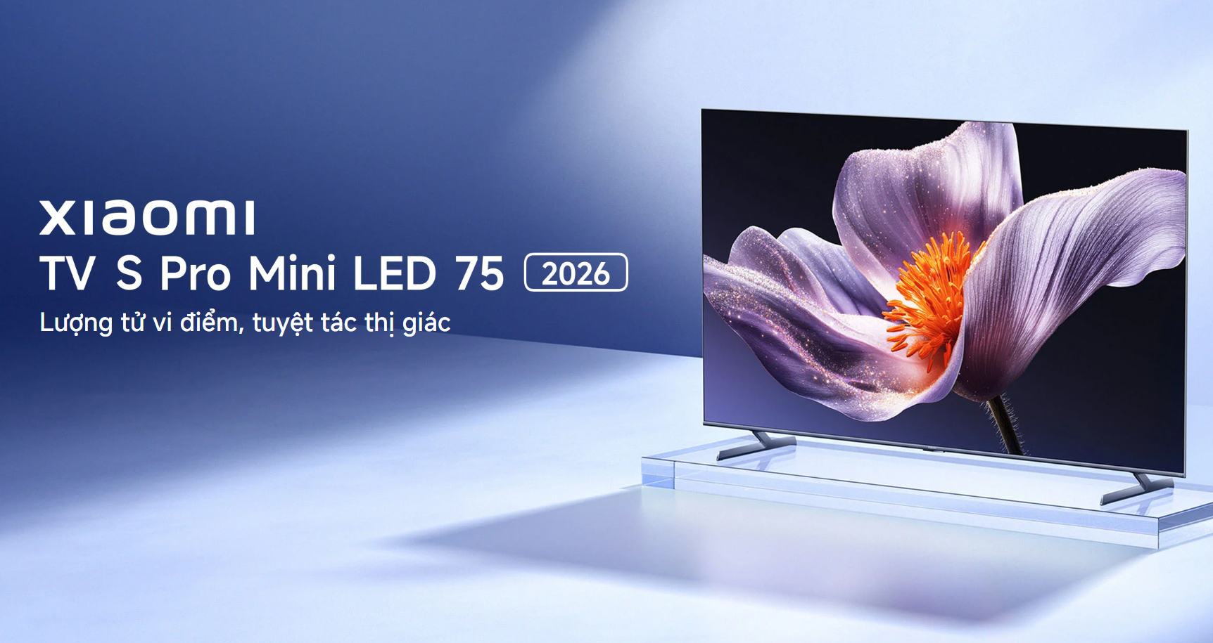 Google Tivi Xiaomi S Pro Mini LED 75 inch 2026 bigmivn