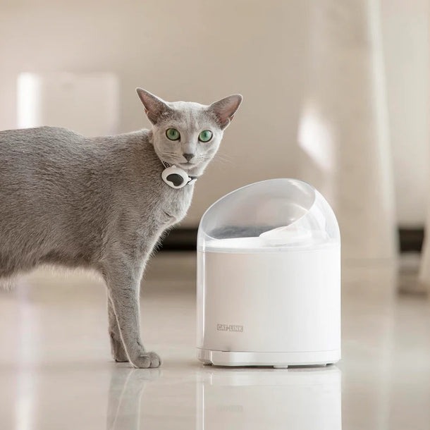 May loc nuoc tu dong cho meo CATLINK Pure 2 Ultra Filtration Water Fountain bigmivn 4
