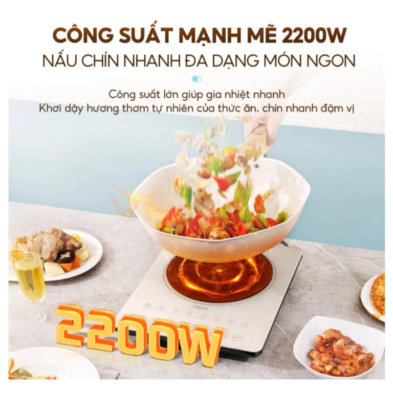 Bếp điện từ AQUA AQS-ICT2201R(C)-VN bigmivn (1)