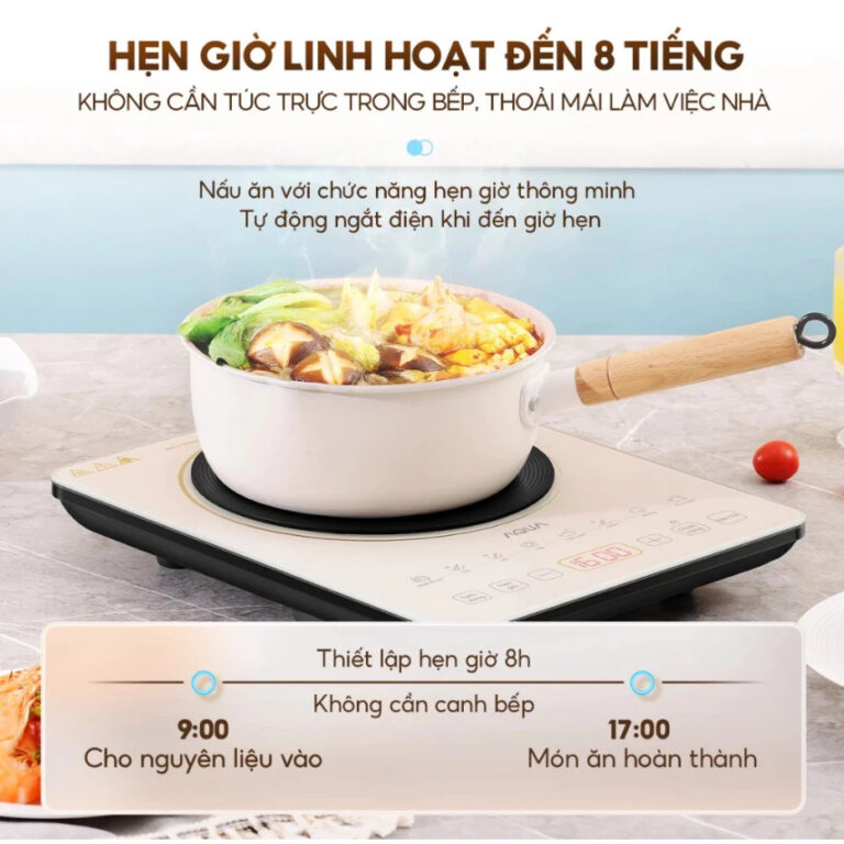Bếp điện từ AQUA AQS-ICT2201R(C)-VN bigmivn (4)