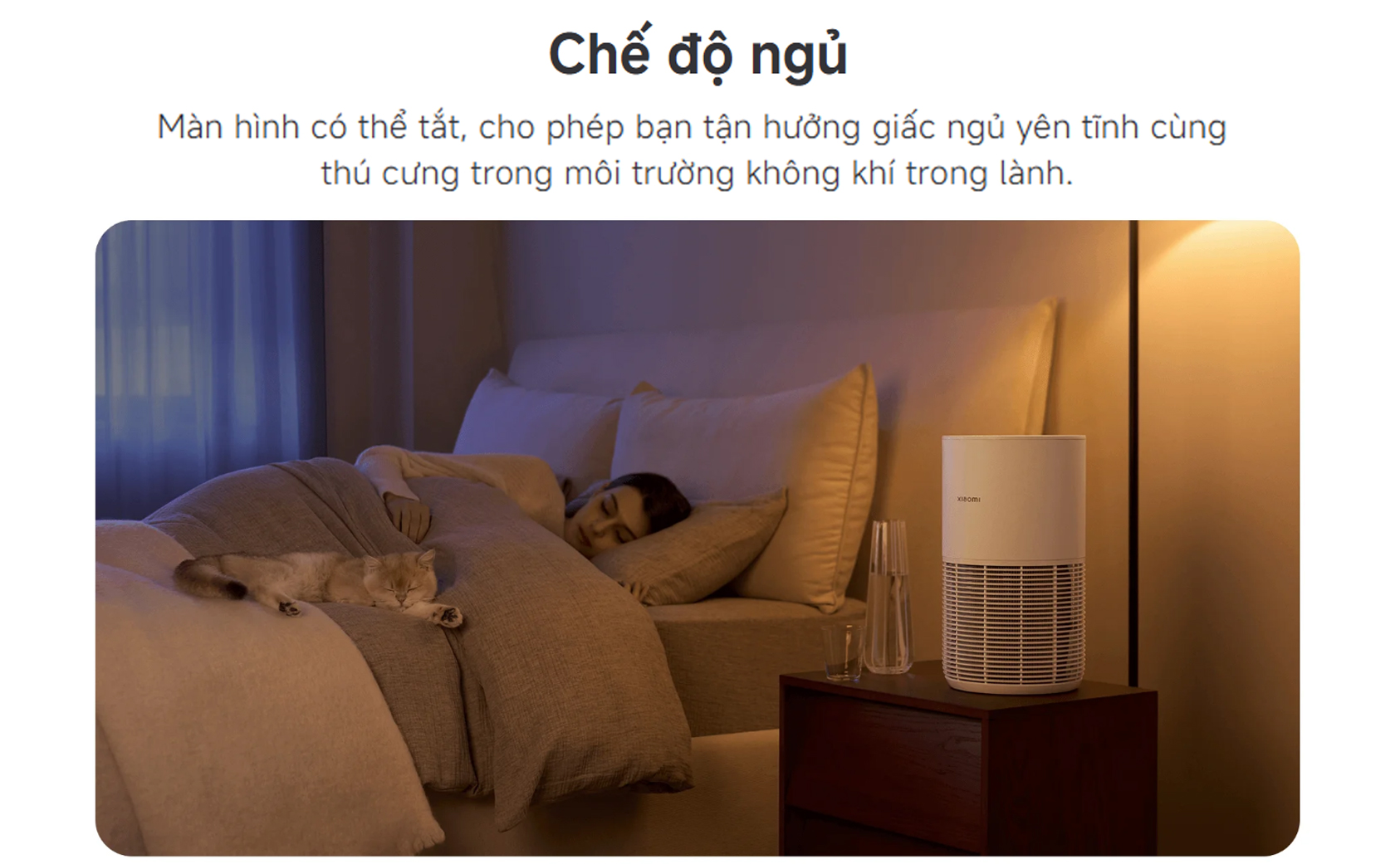 May loc khong khi Xiaomi Smart Pet Care Air Purifier bigmivn 8