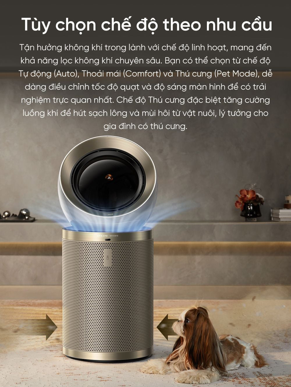 May loc khong khi Dreame AirPursue PM10 bigmivn 11