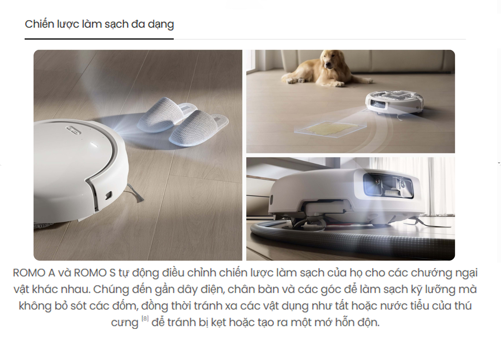 Robot hut bui lau nha DJI ROMO A bigmivn 5