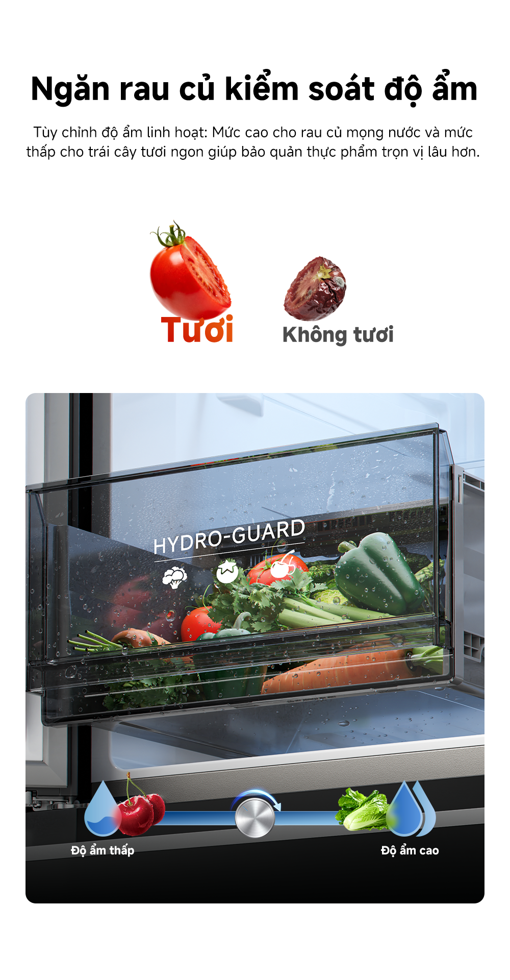 Tu lanh Dreame 600L Dual inverter DRC600WGB4VN tinh nang 4