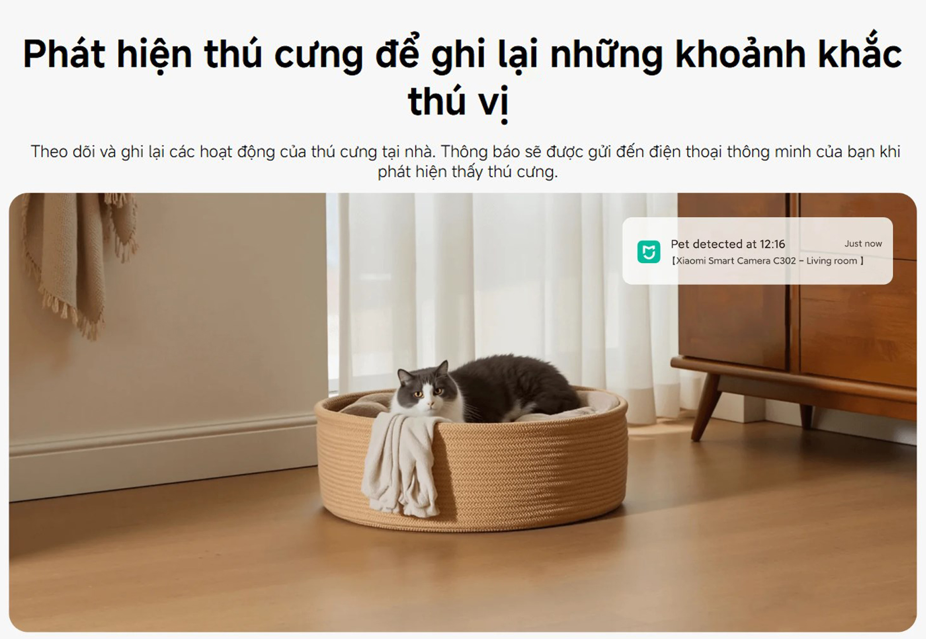 Camera thong minh Xiaomi C302 Smart Camera bigmivn 8