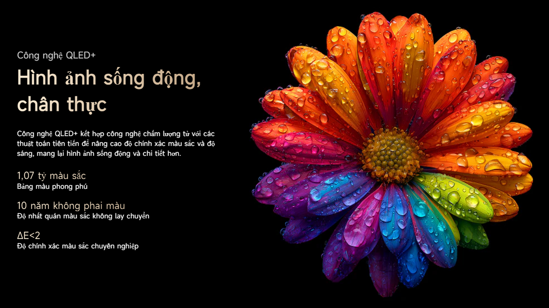 Google Tivi Dreame Q100 100 inch 100Q100 QLED 4K bigmivn 6