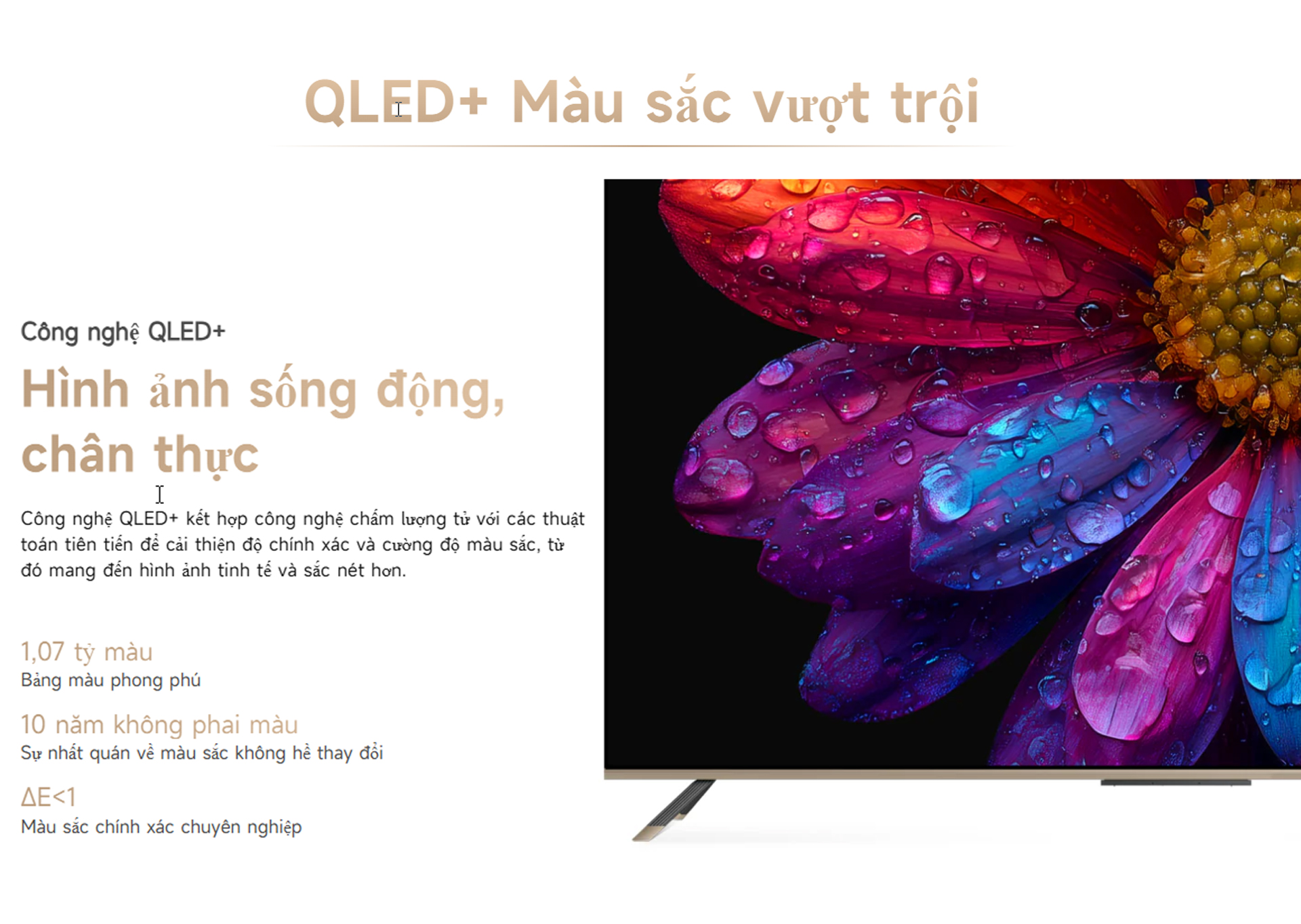 Google Tivi Dreame Q100 43 inch 43Q100 bigmivn 2