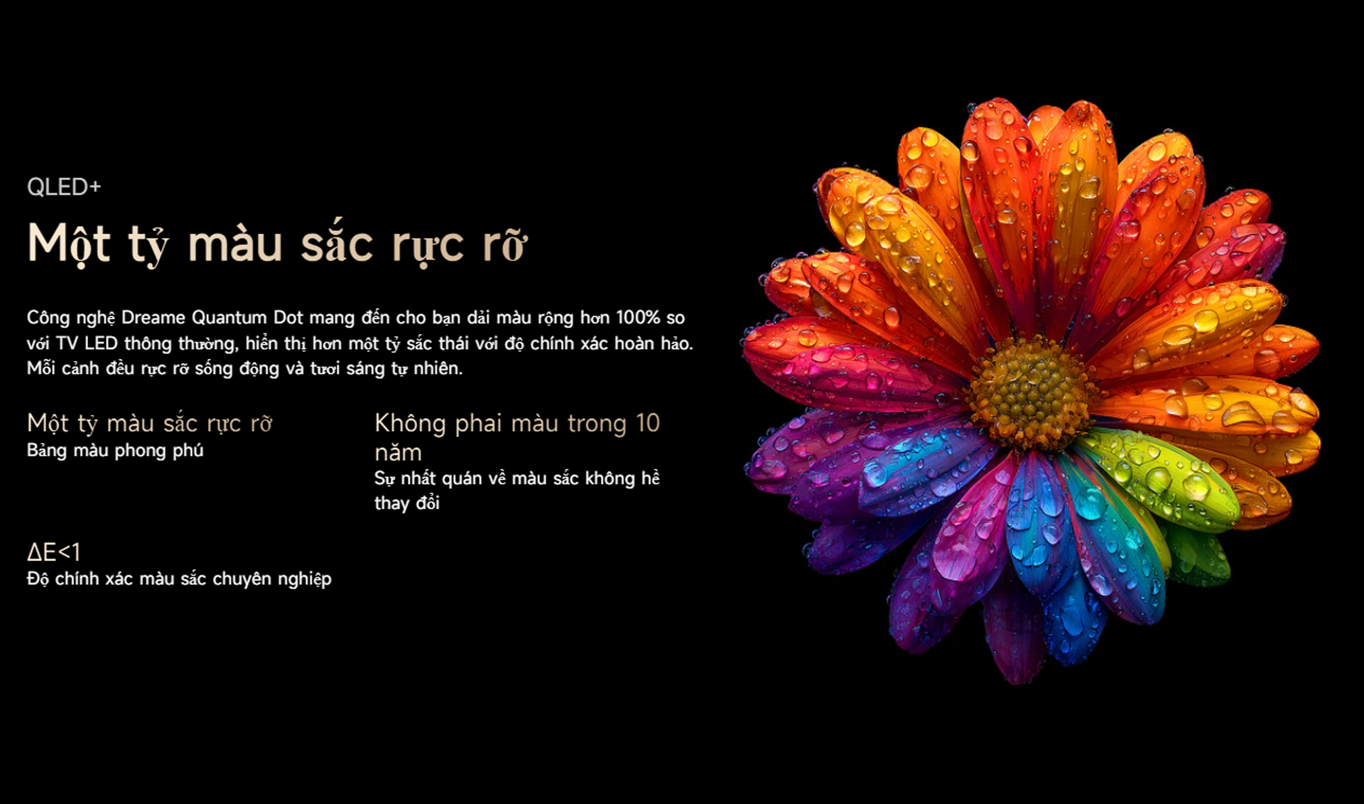 Google Tivi Dreame S100 55 inch 55S100 4K | 144Hz | 3GB | 32GB - Chính hãng Quốc Tế 20 Google Tivi Dreame S100 55 inch 55S100 bigmivn 10