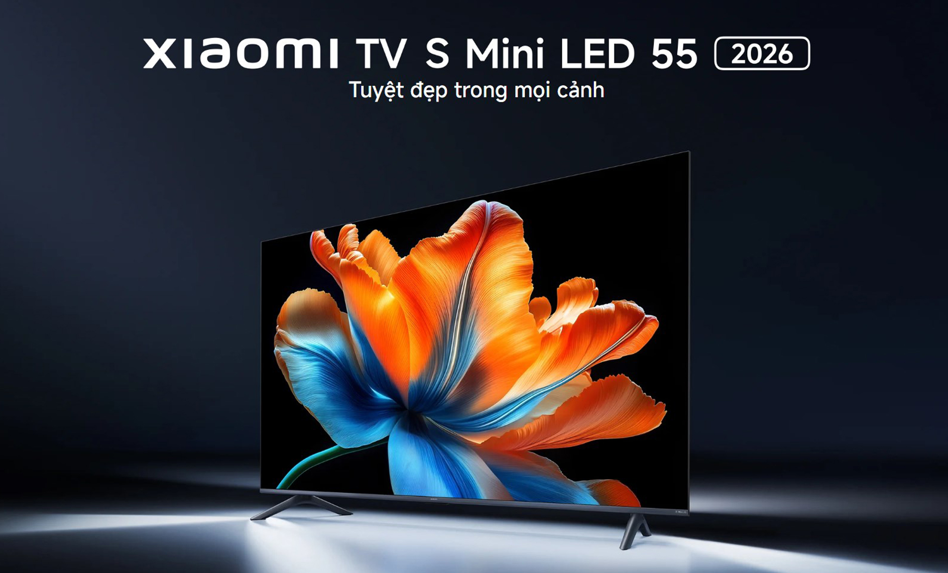 Google Tivi Xiaomi S Mini LED 55 inch 2026 bigmivn