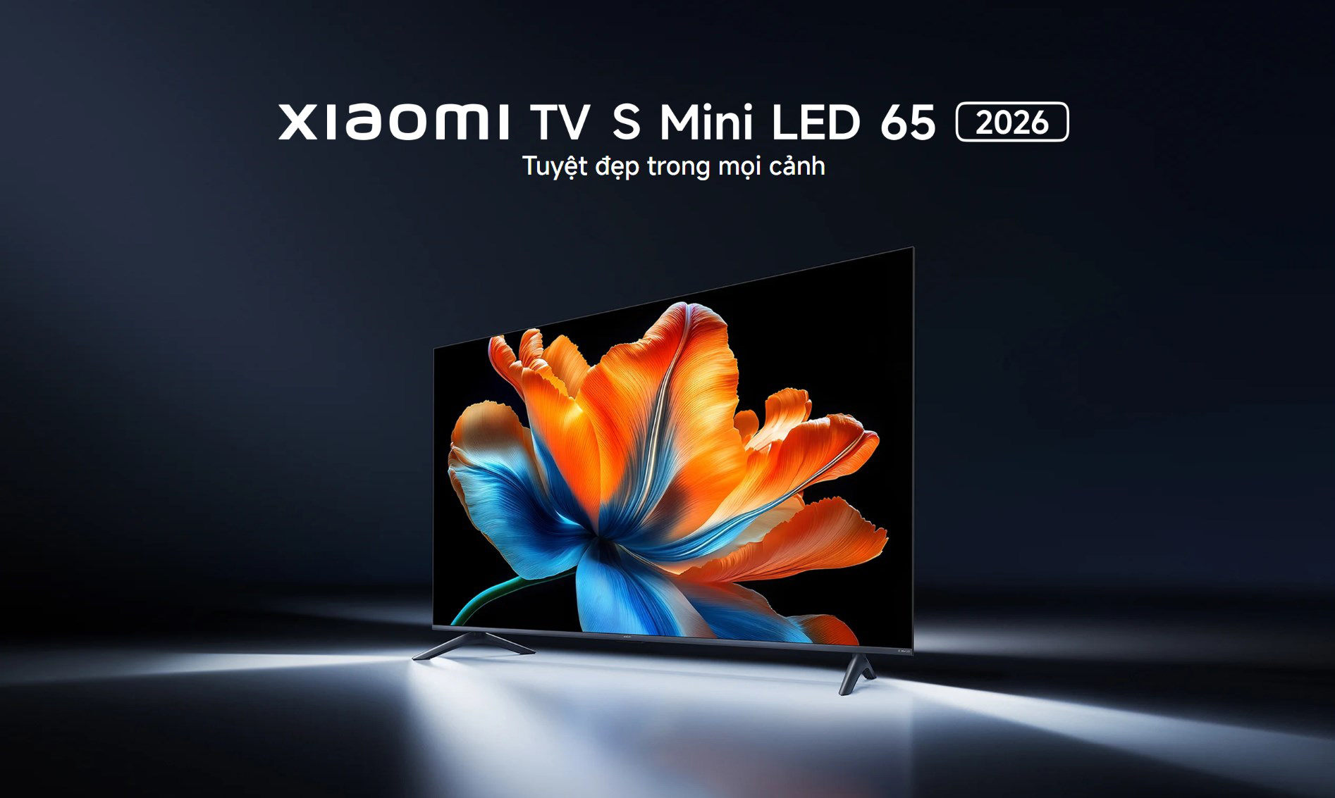 Google Tivi Xiaomi S Mini LED 65 inch 2026 bigmivn
