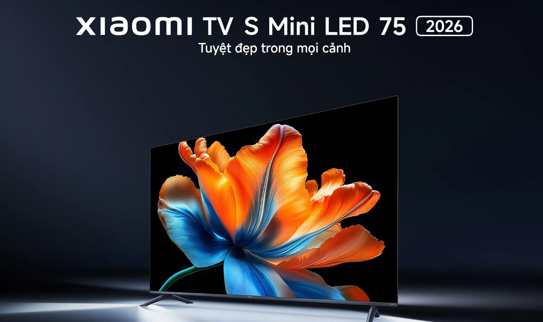Google Tivi Xiaomi S Mini LED 75 inch 2026 bigmivn