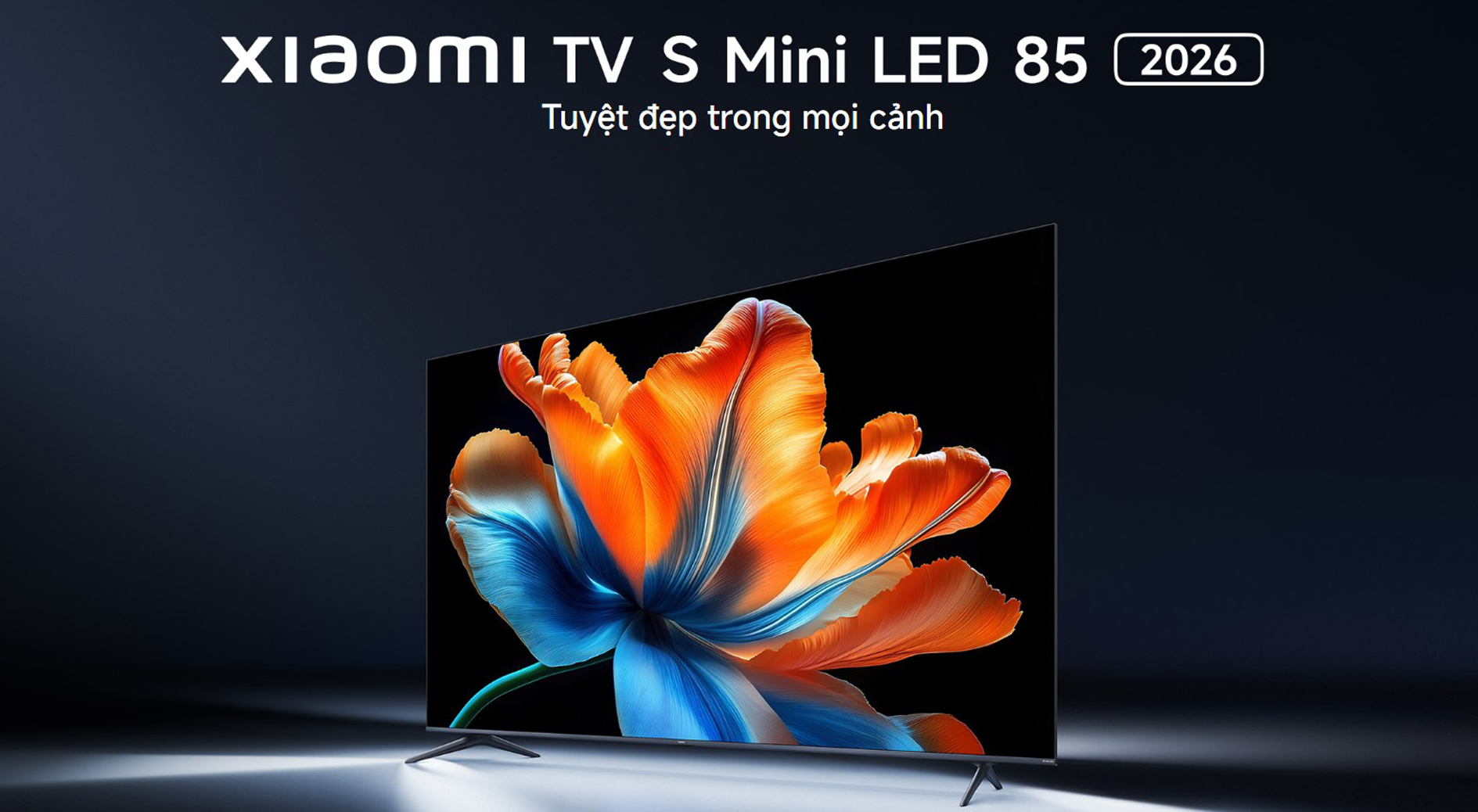 Google Tivi Xiaomi S Mini LED 85 inch 2026 4K|144Hz|3GB|32GB - Chính hãng Quốc Tế 2 Google Tivi Xiaomi S Mini LED 85 inch 2026 bigmivn