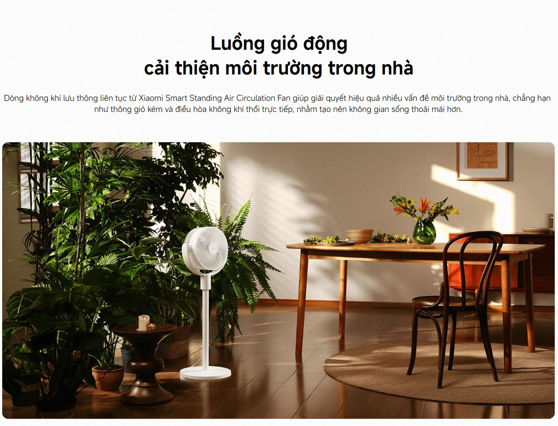 Quat Xiaomi Smart Standing Air Circulation Fan bigmivn 11