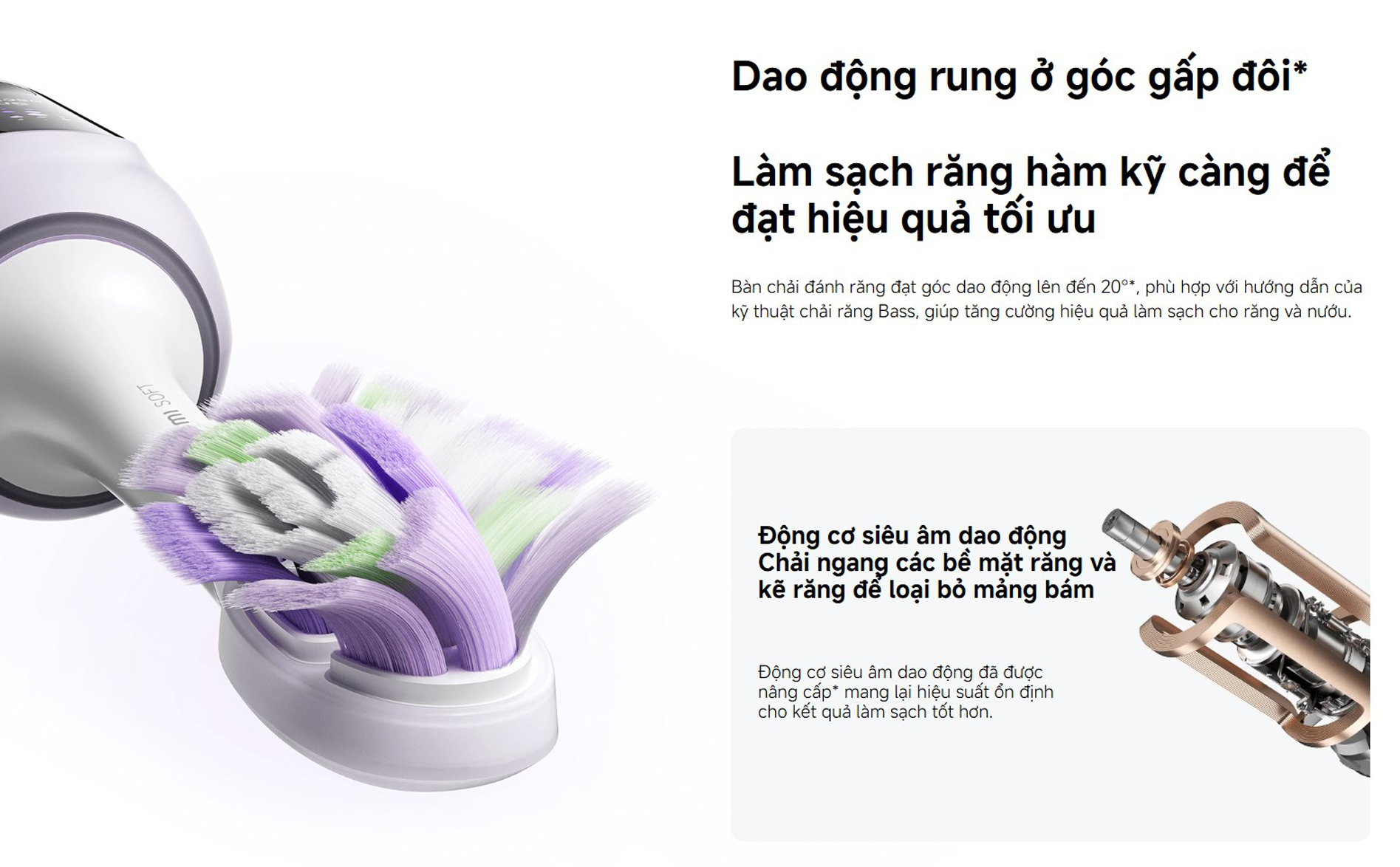 Ban chai dien Xiaomi Pro MES610 Oscillation Electric Toothbrush bigmivn 3