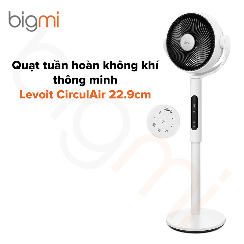 Quạt tuần hoàn không khí Levoit CirculAir 22.9cm