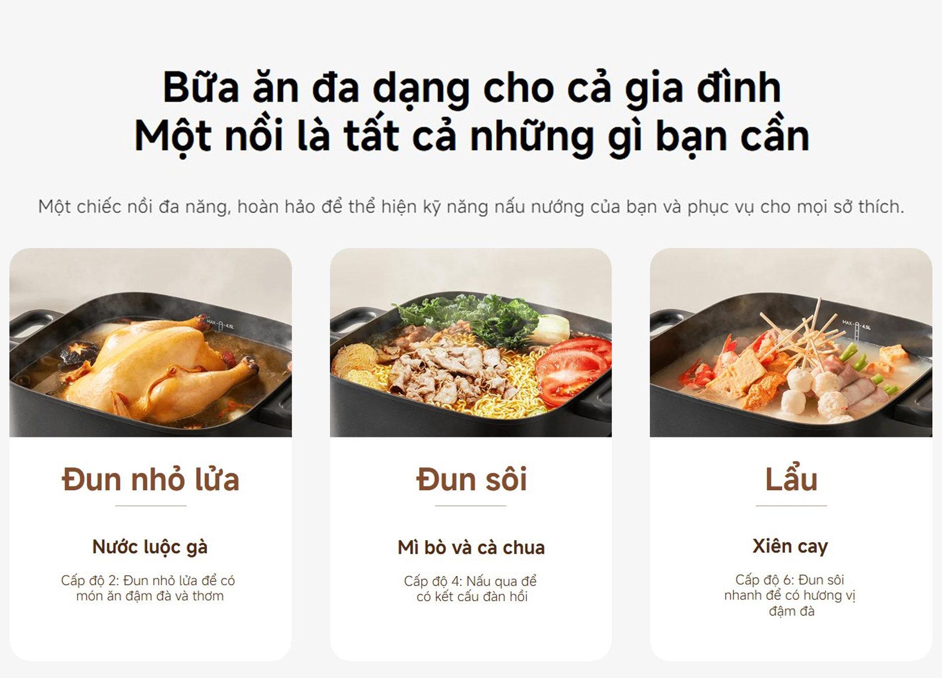 Noi lau dien da nang 6L Xiaomi Multifunctional Hot Pot Cooker MEH01 bigmivn 6